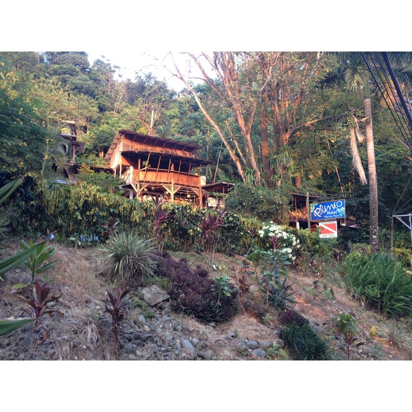 照片 哥斯达黎加(Costa Rica) 曼努埃尔安东尼奥(Manuel Antonio) 2015-03 405
