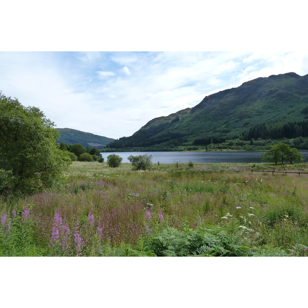 照片 英国(United Kingdom) 特罗萨克斯(The Trossachs) 2011-07 101