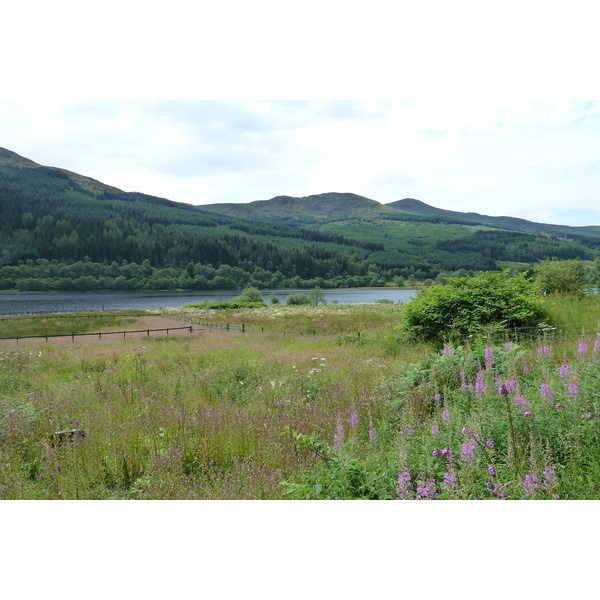 照片 英国(United Kingdom) 特罗萨克斯(The Trossachs) 2011-07 115