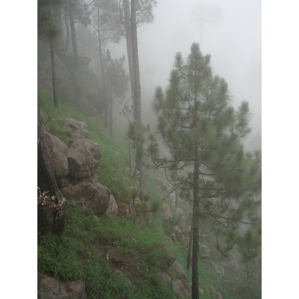照片 巴基斯坦(Pakistan) 穆里(Murree) 2006-08 40