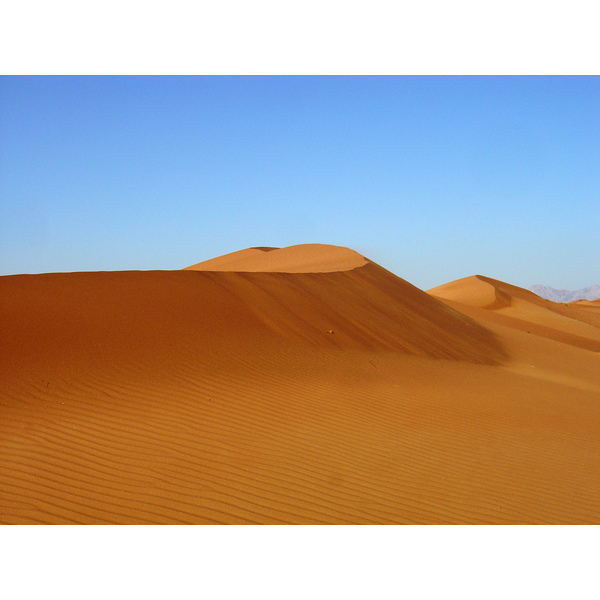 照片 阿联酋(United Arab Emirates) 迪拜至艾因公路(Dubai to Al Ain road) 2005-03 31