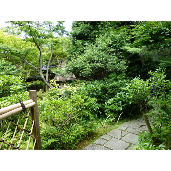 照片 日本(Japan) 东京(Tokyo) 根津美术馆(Nezu Museum) 2010-06 37