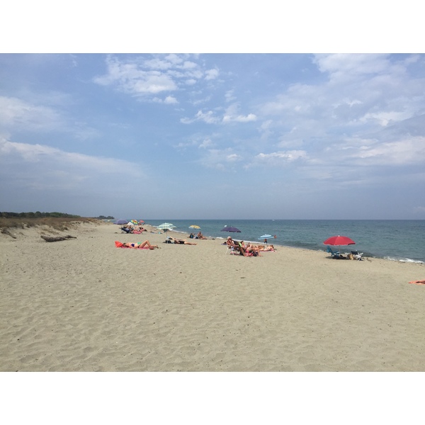 照片 法国(France) 科西嘉岛(Corsica) 圣朱利亚诺(San Giuliano) 2017-09 2