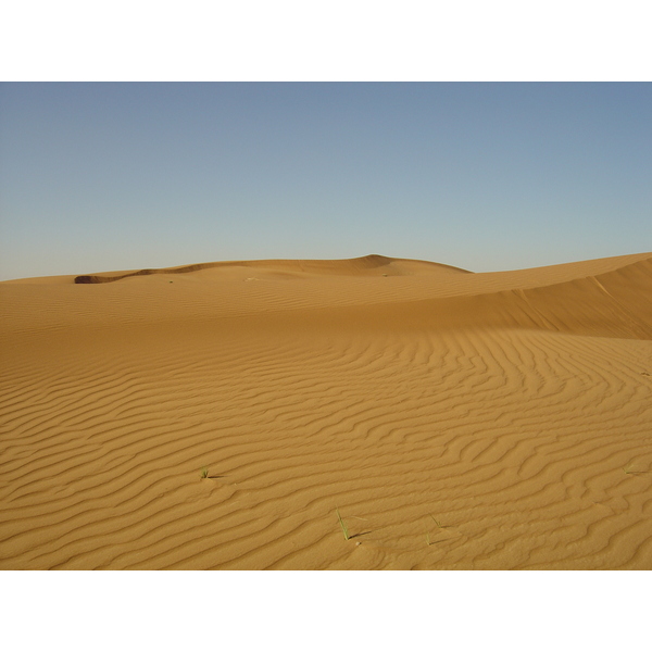 照片 阿联酋(United Arab Emirates) 迪拜至艾因公路(Dubai to Al Ain road) 2005-03 55
