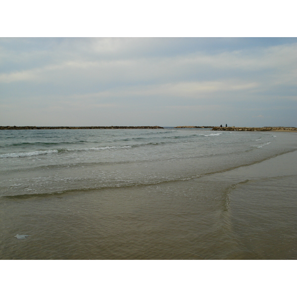 照片 以色列(Israel) 特拉维夫(Tel Aviv) 特拉维夫海岸(Tel Aviv Sea Shore) 2006-12 131