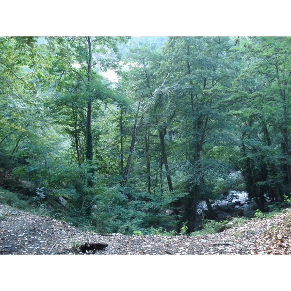 照片 法国(France) 科西嘉岛(Corsica) 阿莱萨尼山谷(Valle d'alesani) 2006-09 108