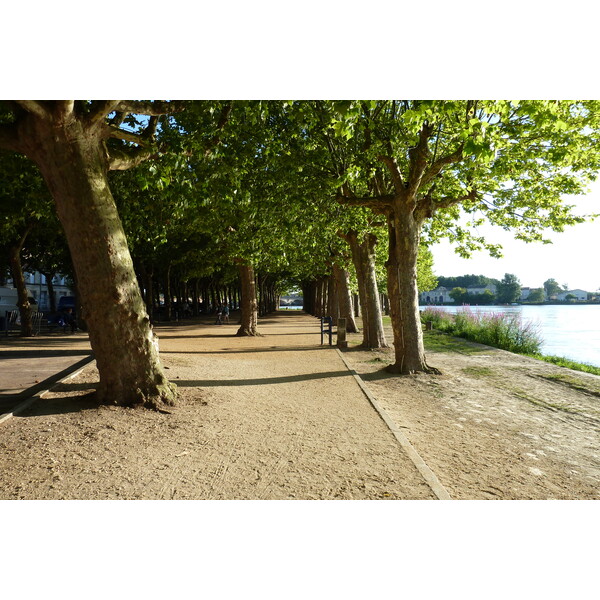 照片 法国(France) 利布尔讷(Libourne) 2010-08 20