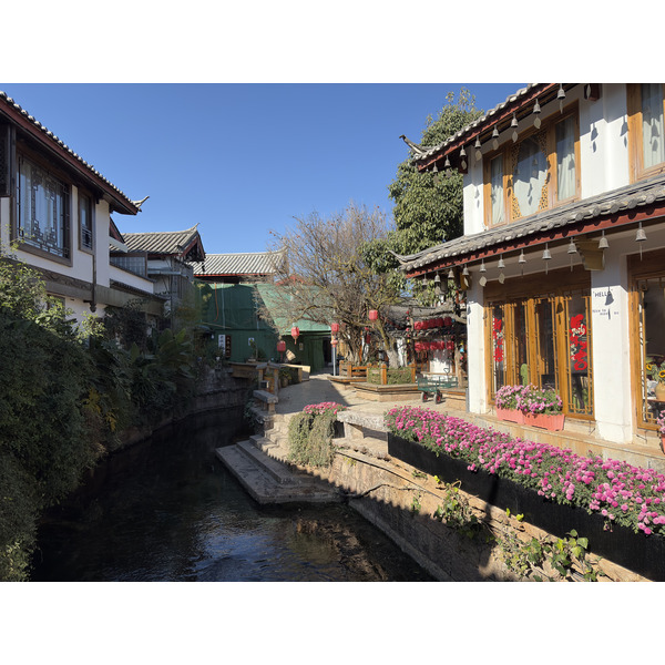 照片 中国(China) 丽江(Lijiang) 2026-01 373