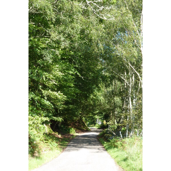 照片 英国(United Kingdom) 苏格兰(Scotland) 萨伦(Salen) 2011-07 50