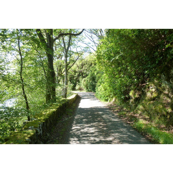 照片 英国(United Kingdom) 苏格兰(Scotland) 萨伦(Salen) 2011-07 79