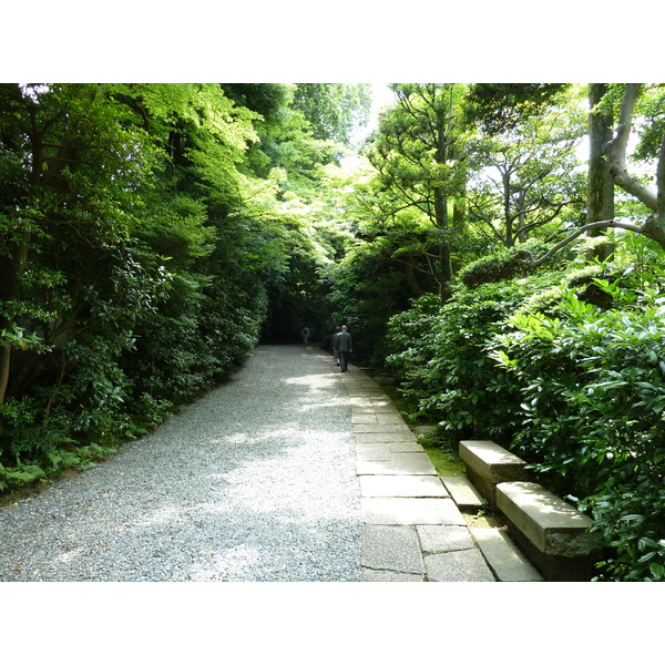 照片 日本(Japan) 东京(Tokyo) 根津美术馆(Nezu Museum) 2010-06 51