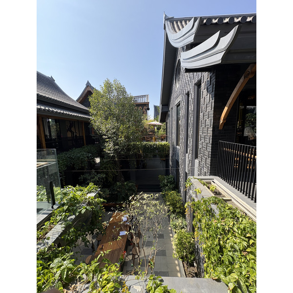 照片 泰国(Thailand) 清迈(Chiang Mai) KALM村(KALM Village) 2024-12 19
