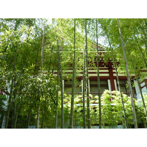 照片 日本(Japan) 东京(Tokyo) 芝公园(Shiba Park) 2010-06 47