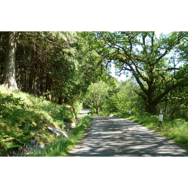 照片 英国(United Kingdom) 苏格兰(Scotland) 萨伦(Salen) 2011-07 34