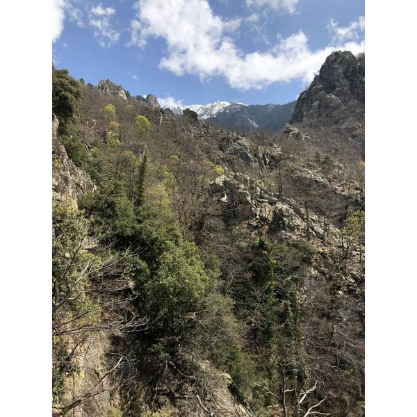 照片 法国(France) 卡尼古圣马丁修道院(Abbaye Saint Martin du Canigou) 2018-04 116