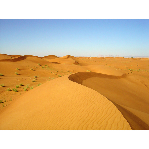 照片 阿联酋(United Arab Emirates) 迪拜至艾因公路(Dubai to Al Ain road) 2005-03 4