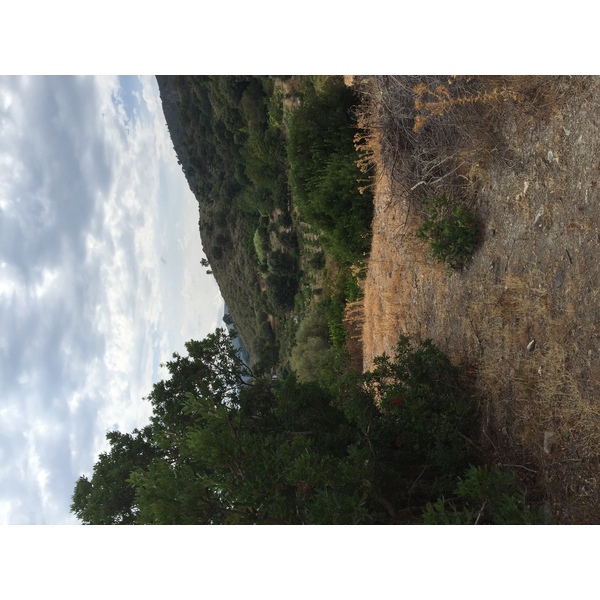 照片 法国(France) 科西嘉岛(Corsica) 托克斯(Tox) 2017-09 9