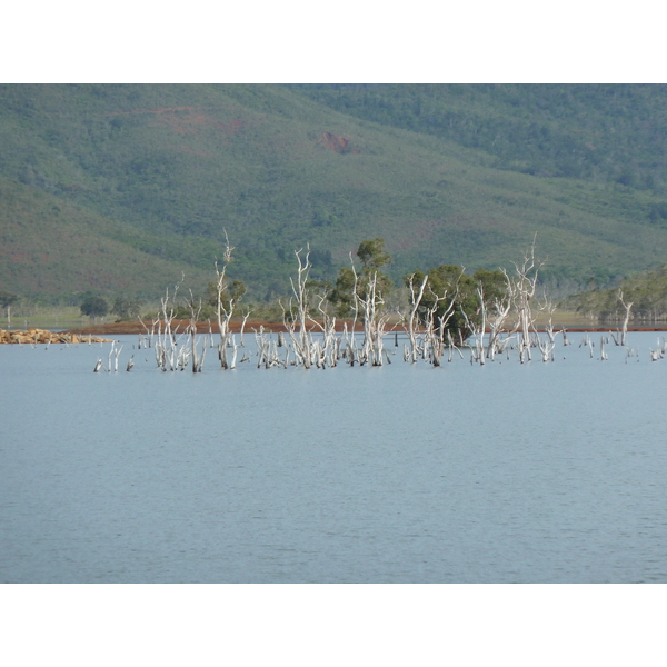 照片 新喀里多尼亚(New Caledonia) 蓝河公园(Parc de la Riviere Bleue) 2010-05 43
