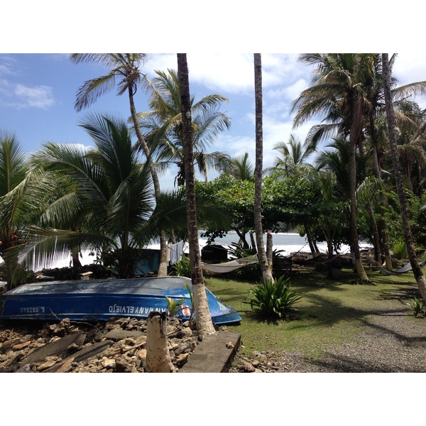 照片 哥斯达黎加(Costa Rica) 卡维塔(Cahuita) 2015-03 141
