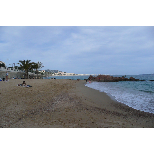 照片 法国(France) 芒德利厄(Mandelieu) 2008-03 65