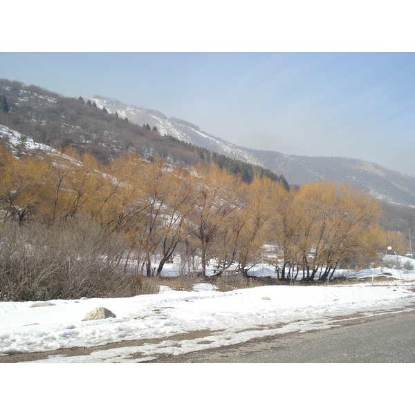照片 哈萨克斯坦(Kazakhstan) 伊犁阿拉套国家公园(Ile Alatau National Park) 2007-03 1
