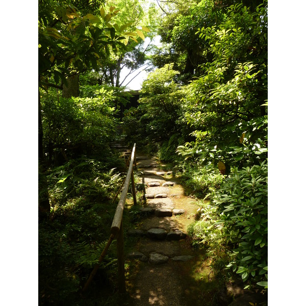 照片 日本(Japan) 东京(Tokyo) 根津美术馆(Nezu Museum) 2010-06 65