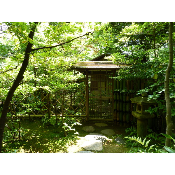 照片 日本(Japan) 东京(Tokyo) 根津美术馆(Nezu Museum) 2010-06 86