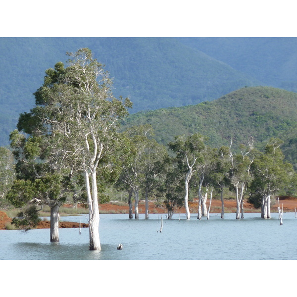 照片 新喀里多尼亚(New Caledonia) 蓝河公园(Parc de la Riviere Bleue) 2010-05 68
