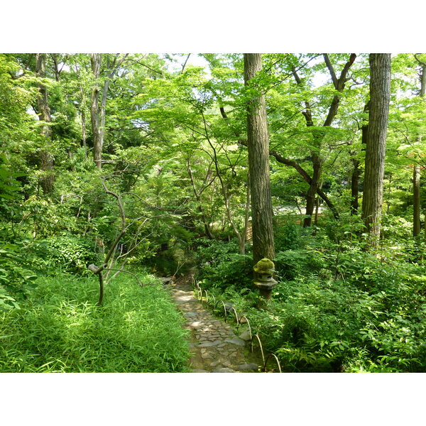 照片 日本(Japan) 东京(Tokyo) 根津美术馆(Nezu Museum) 2010-06 95