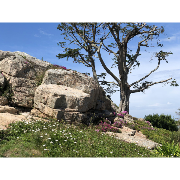 照片 法国(France) 布雷阿岛(Brehat Island) 2020-06 253