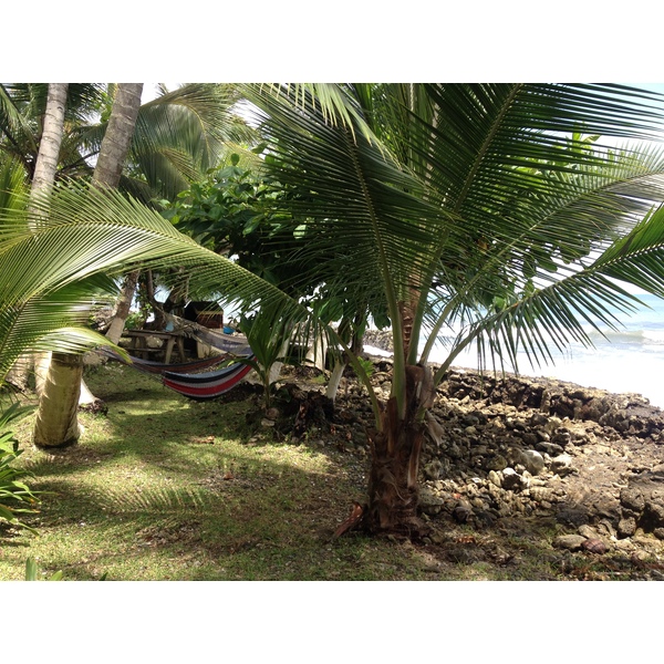 照片 哥斯达黎加(Costa Rica) 卡维塔(Cahuita) 2015-03 194