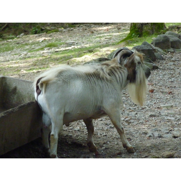 照片 意大利(Italy) 帕拉维奇诺别墅(Villa Pallavicino) 2009-06 62