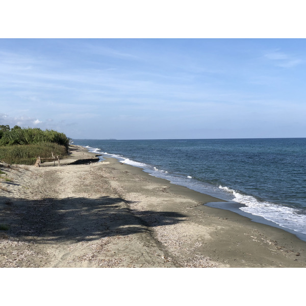 照片 法国(France) 科西嘉岛(Corsica) 圣朱利亚诺(San Giuliano) 2018-09 14