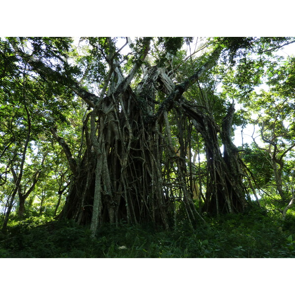 照片 斐济(Fiji) 2010-05 39