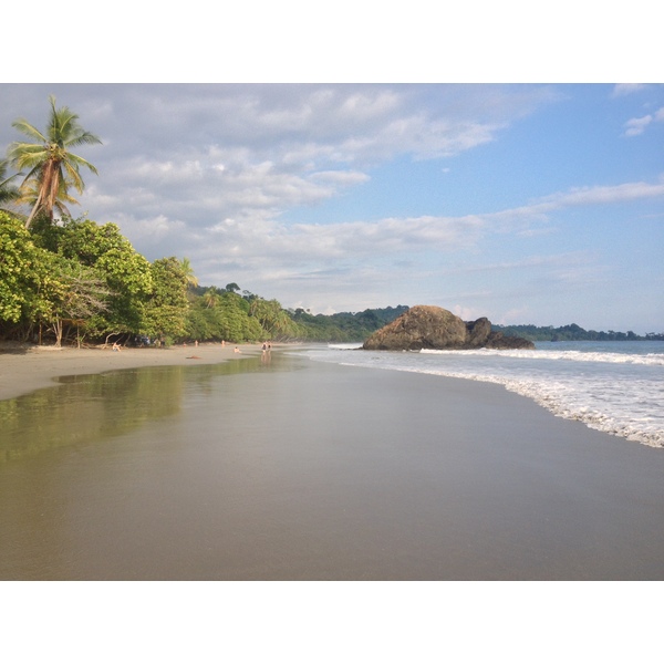 照片 哥斯达黎加(Costa Rica) 曼努埃尔安东尼奥(Manuel Antonio) 2015-03 194