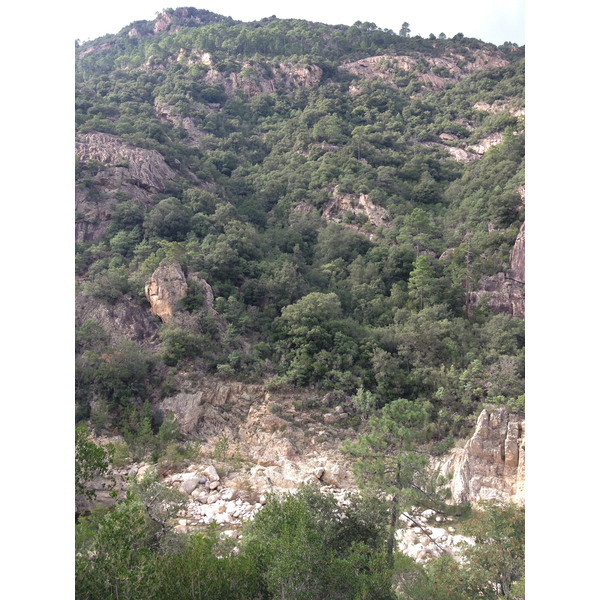 照片 法国(France) 科西嘉岛(Corsica) 索伦扎拉(Solenzara) 2012-09 20
