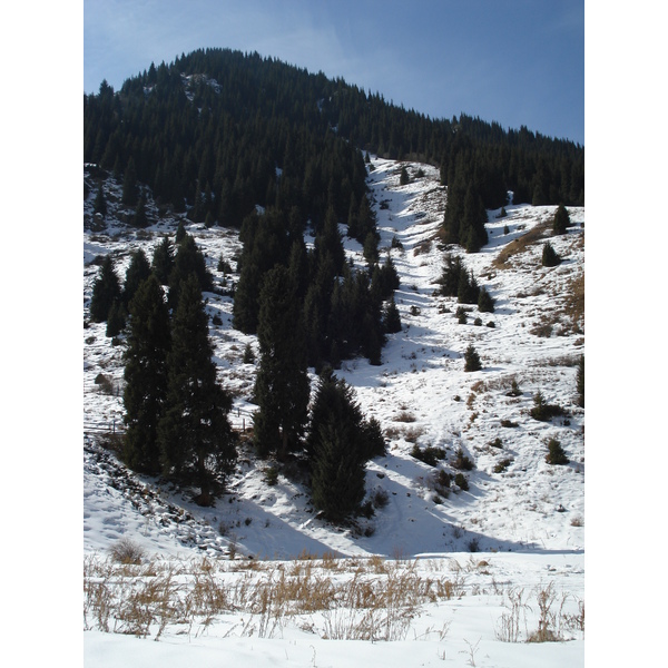 照片 哈萨克斯坦(Kazakhstan) 伊犁阿拉套国家公园(Ile Alatau National Park) 2007-03 71