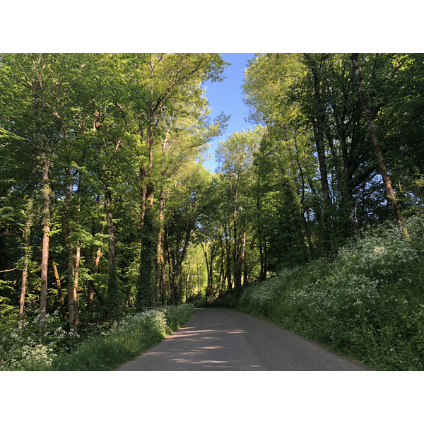 照片 法国(France) 弗卢瓦拉克(Floirac) 2018-04 17
