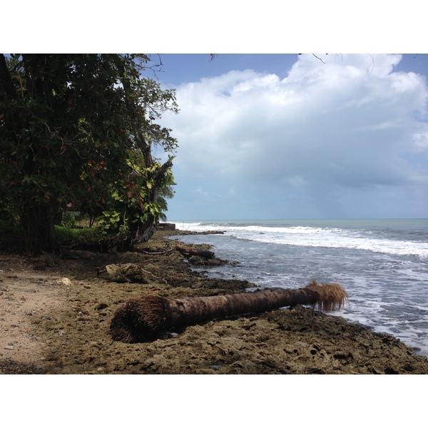 照片 哥斯达黎加(Costa Rica) 卡维塔(Cahuita) 2015-03 132