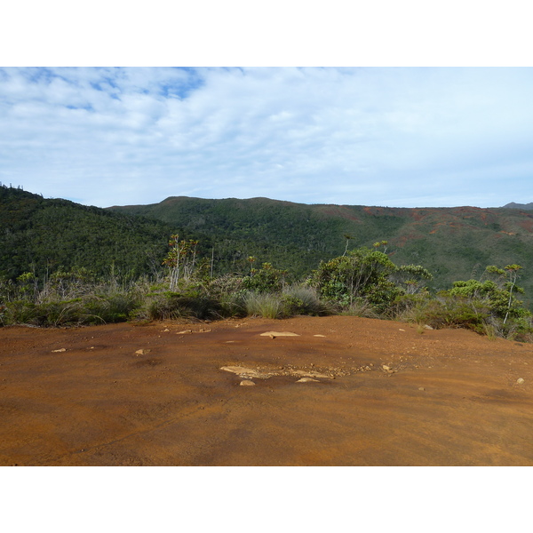 照片 新喀里多尼亚(New Caledonia) 蓝河公园(Parc de la Riviere Bleue) 2010-05 121