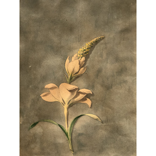 照片 意大利(Italy) 西西里岛(Sicily) 巴勒莫(Palermo) 诺曼王宫(Palazzo dei Normanni) 2020-02 100
