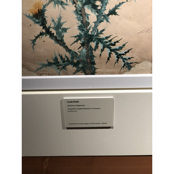 照片 意大利(Italy) 西西里岛(Sicily) 巴勒莫(Palermo) 诺曼王宫(Palazzo dei Normanni) 2020-02 173