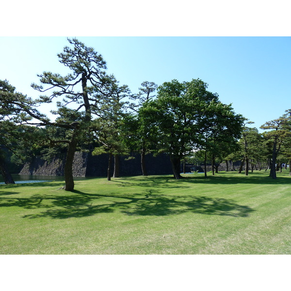照片 日本(Japan) 东京(Tokyo) 皇居(Imperial Palace) 2010-06 69