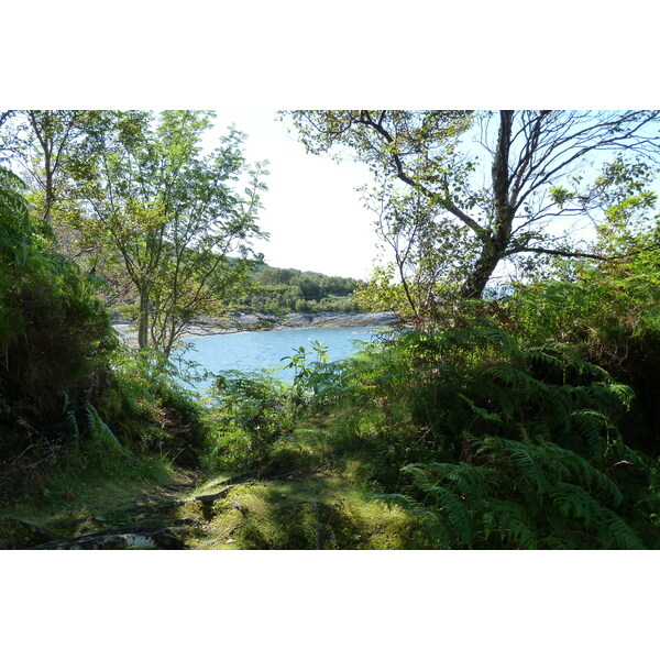 照片 英国(United Kingdom) 苏格兰(Scotland) 萨伦(Salen) 2011-07 1