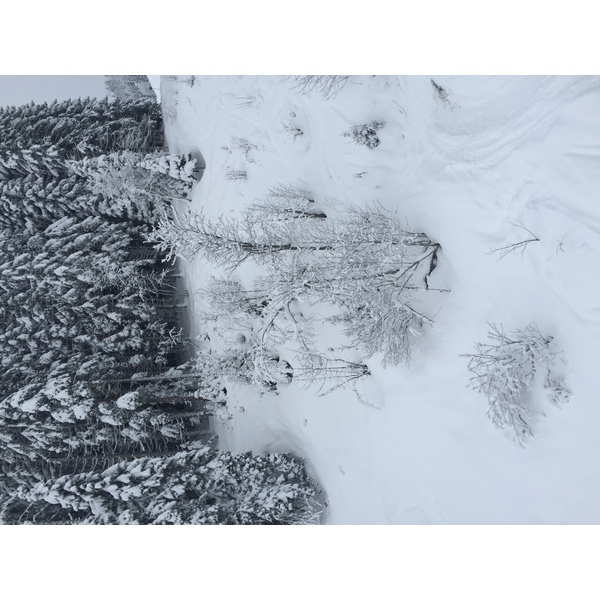 照片 法国(France) 梅杰夫(Megeve) 2016-02 9