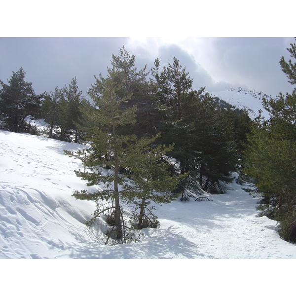 照片 法国(France) 格雷奥利耶(Greolieres) 2006-02 44