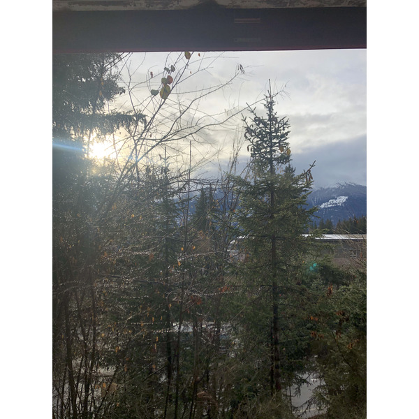 照片 瑞士(Switzerland) 克莱恩-蒙塔纳(Crans Montana) 2020-12 178