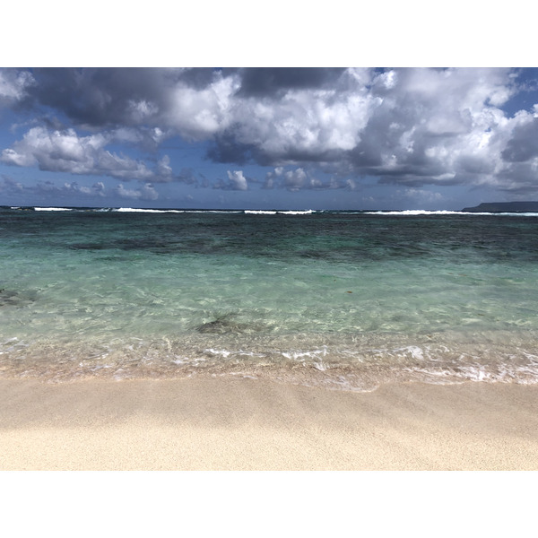 照片 瓜德罗普(Guadeloupe) 萨利讷大湾海滩(Grande Anse des Salines Beach) 2021-02 3