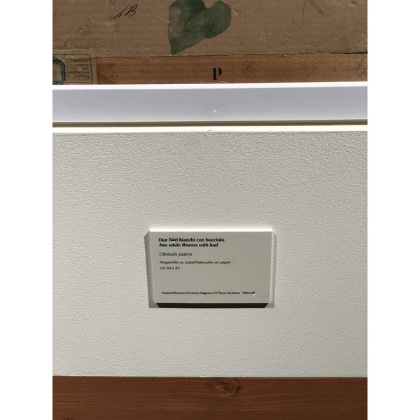 照片 意大利(Italy) 西西里岛(Sicily) 巴勒莫(Palermo) 诺曼王宫(Palazzo dei Normanni) 2020-02 89