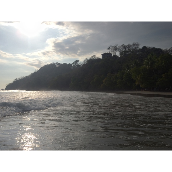照片 哥斯达黎加(Costa Rica) 曼努埃尔安东尼奥(Manuel Antonio) 2015-03 374